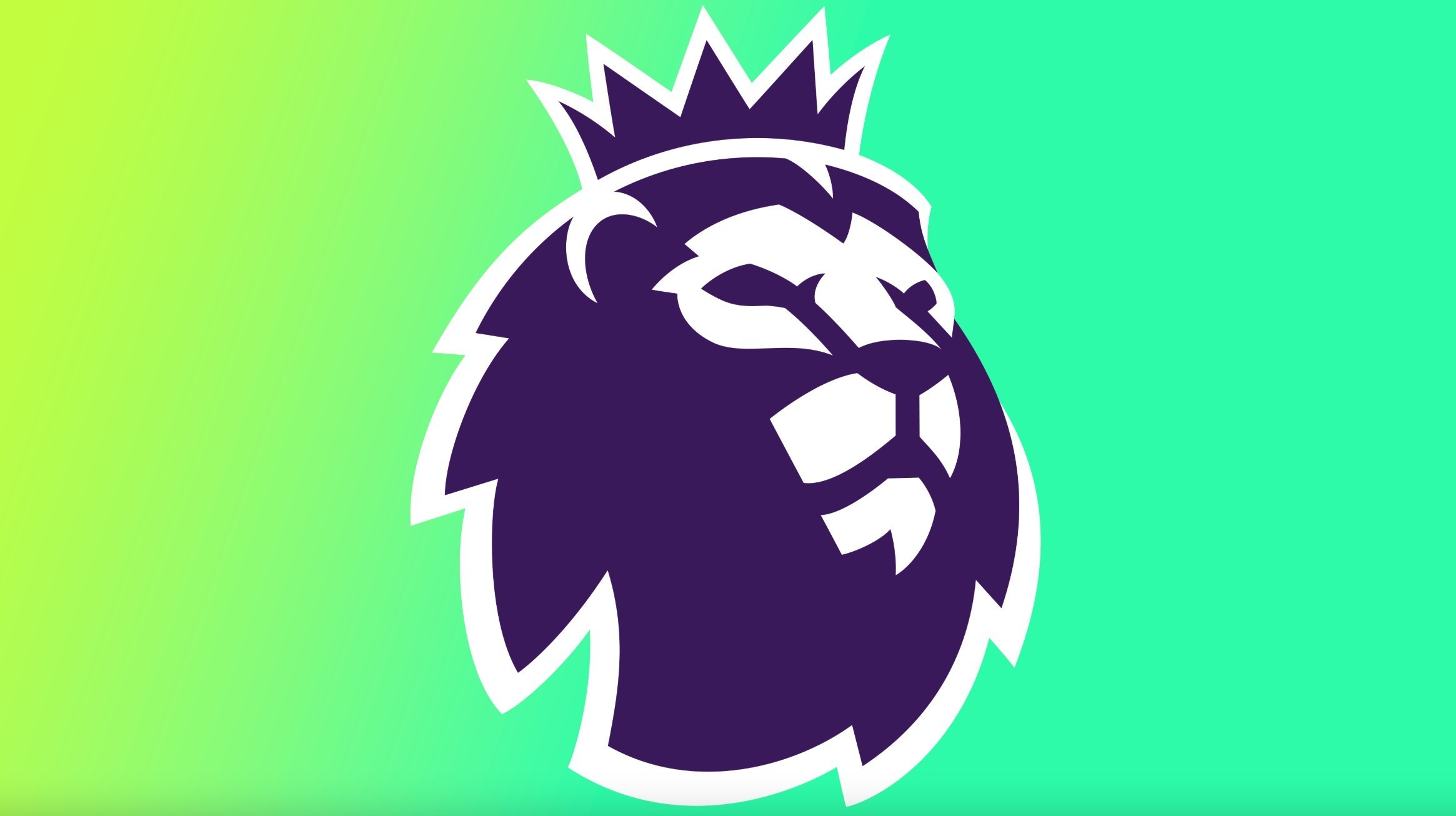 苦训练和李 苦训练和李