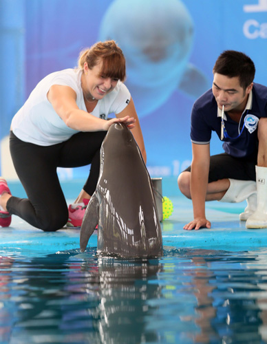 仅表明了公 仅表明了公