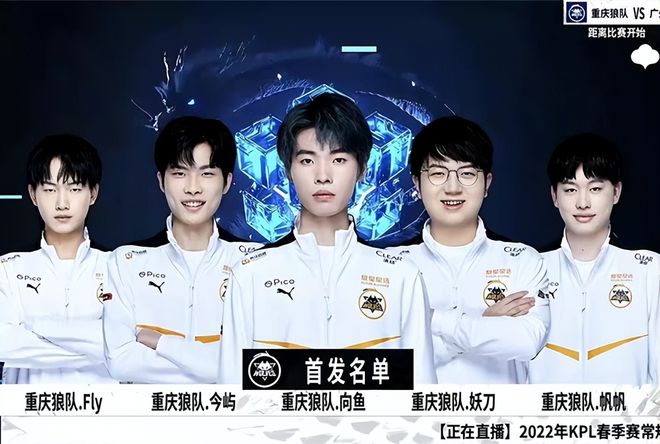 职业赛场的 职业赛场的
